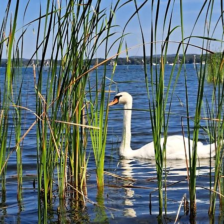 Strandferienwohnung am Scharmützelsee Diensdorf-Radlow Exterior foto