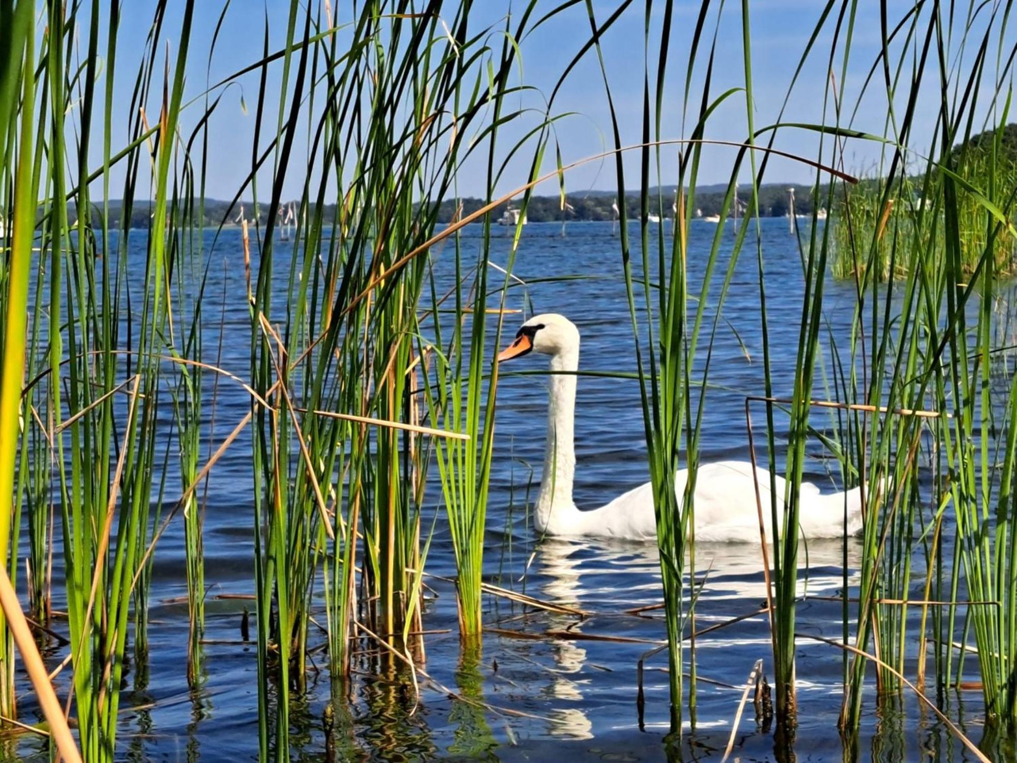 Strandferienwohnung am Scharmützelsee Diensdorf-Radlow Exterior foto